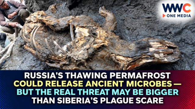 Russia’s Thawing Permafrost Could Release Ancient Microbes — But the Real Threat May Be Bigger Than Siberia’s Plague Scare