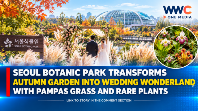 Seoul Botanic Park Transforms Autumn Garden Into Wedding Wonderland With Pampas Grass and Rare Plants