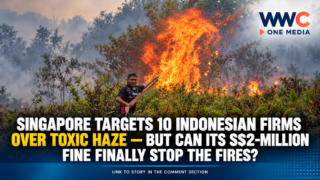 Singapore Targets 10 Indonesian Firms Over Toxic Haze — But Can Its S$2-Million Fine Finally Stop the Fires?