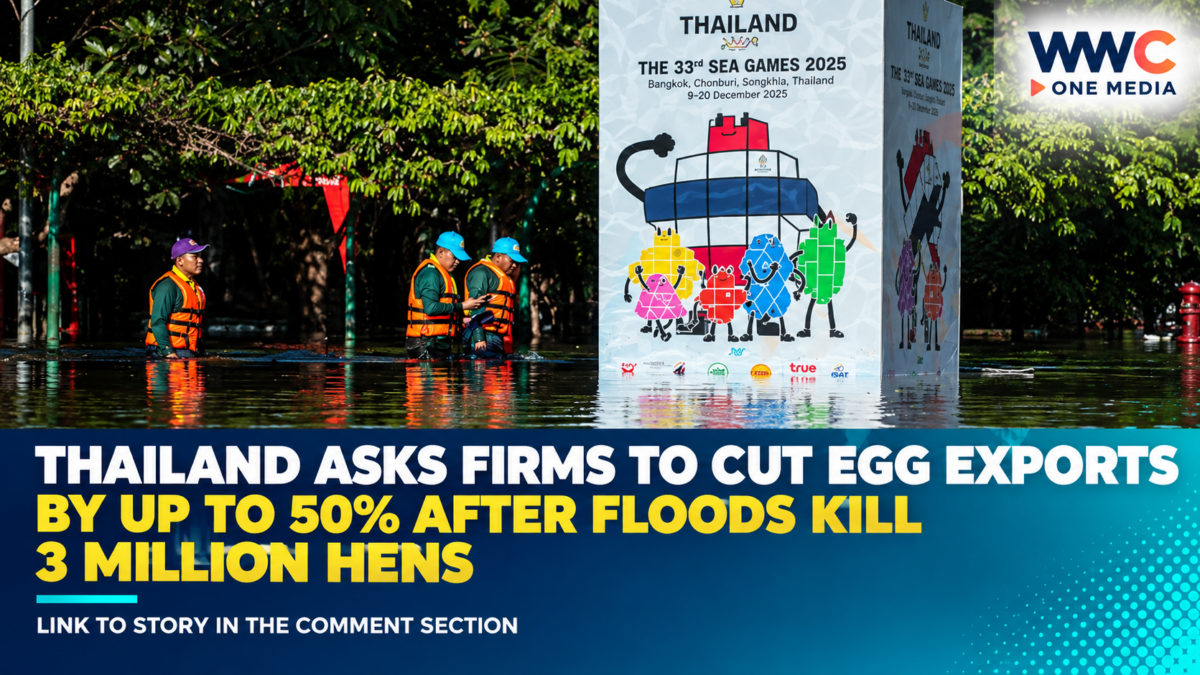 Thailand Asks Firms to Cut Egg Exports by Up to 50% After Floods Kill 3 Million Hens