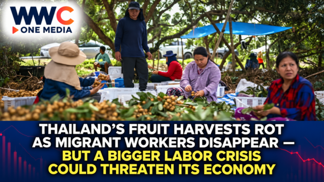 Thailand’s Fruit Harvests Rot as Migrant Workers Disappear — But a Bigger Labor Crisis Could Threaten Its Economy
