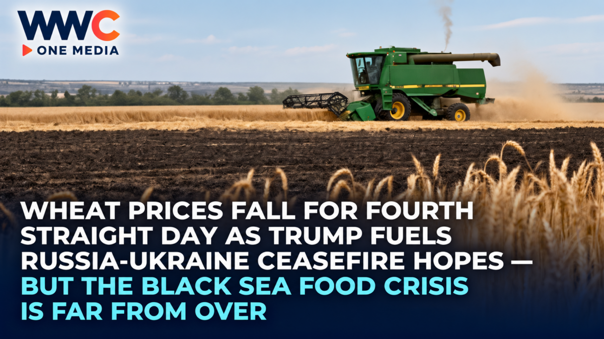 Wheat Prices Fall for Fourth Straight Day as Trump Fuels Russia-Ukraine Ceasefire Hopes — But the Black Sea Food Crisis Is Far From Over