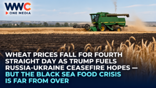 Wheat Prices Fall for Fourth Straight Day as Trump Fuels Russia-Ukraine Ceasefire Hopes — But the Black Sea Food Crisis Is Far From Over