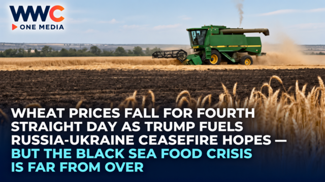 Wheat Prices Fall for Fourth Straight Day as Trump Fuels Russia-Ukraine Ceasefire Hopes — But the Black Sea Food Crisis Is Far From Over