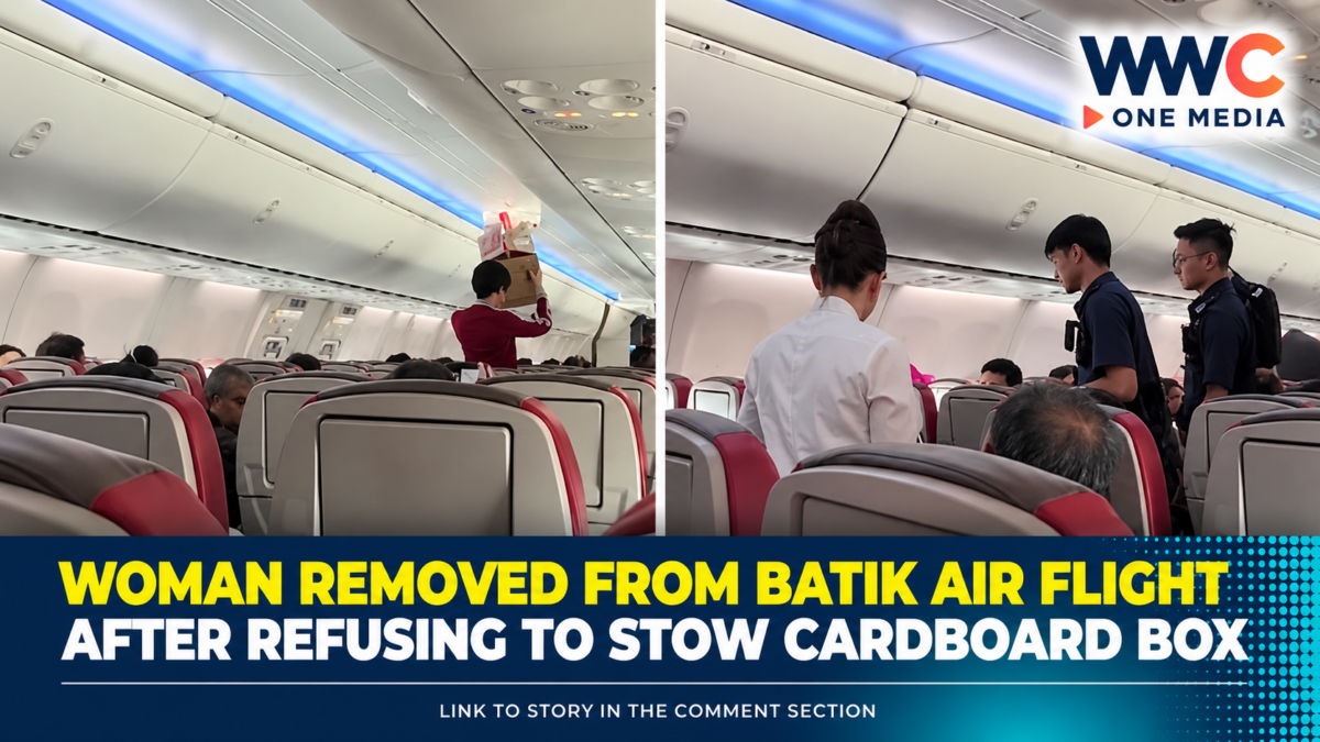 Woman Removed From Batik Air Flight After Refusing to Stow Cardboard Box