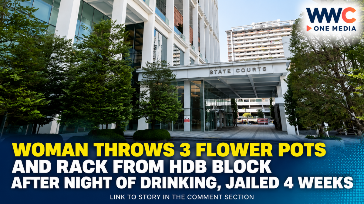 Woman Throws 3 Flower Pots and Rack From HDB Block After Night of Drinking, Jailed 4 Weeks