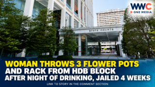 Woman Throws 3 Flower Pots and Rack From HDB Block After Night of Drinking, Jailed 4 Weeks