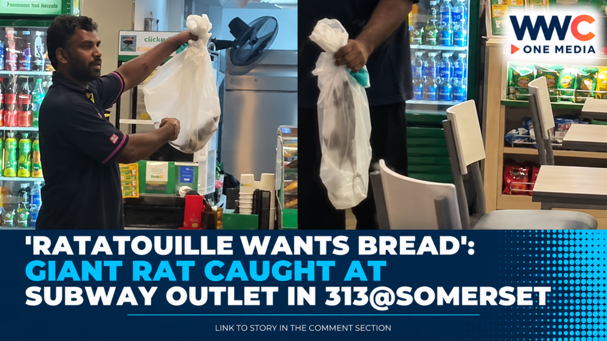 ‘Ratatouille Wants Bread’: Giant Rat Caught at Subway Outlet in 313@Somerset