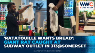 ‘Ratatouille Wants Bread’: Giant Rat Caught at Subway Outlet in 313@Somerset